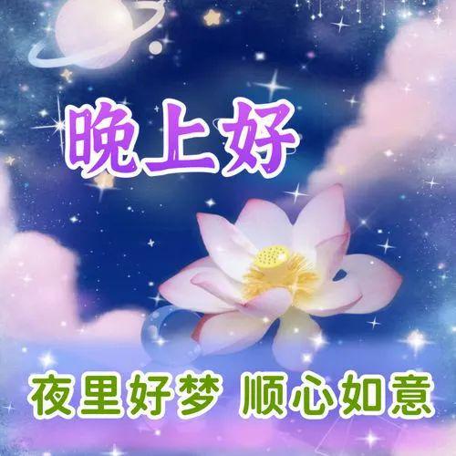 晚上好1